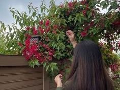 call-girls-in-kailash-colony-delhi-areas-at-low-cost-book-now