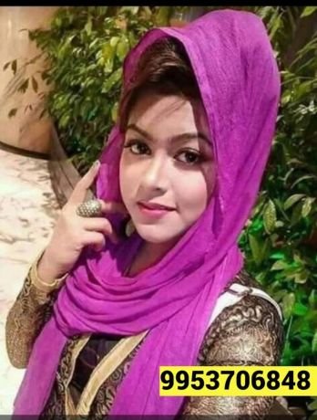 most-find-9953706848-call-girls-in-geetanjali-enclave-delhi-big-0