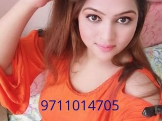 call-girls-in-kamla-nagar-delhi-9711014705-escorts-service