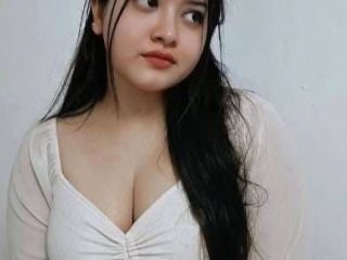 call-girls-in-chandni-chowk-9711800081-escorts-service-delhi-ncr